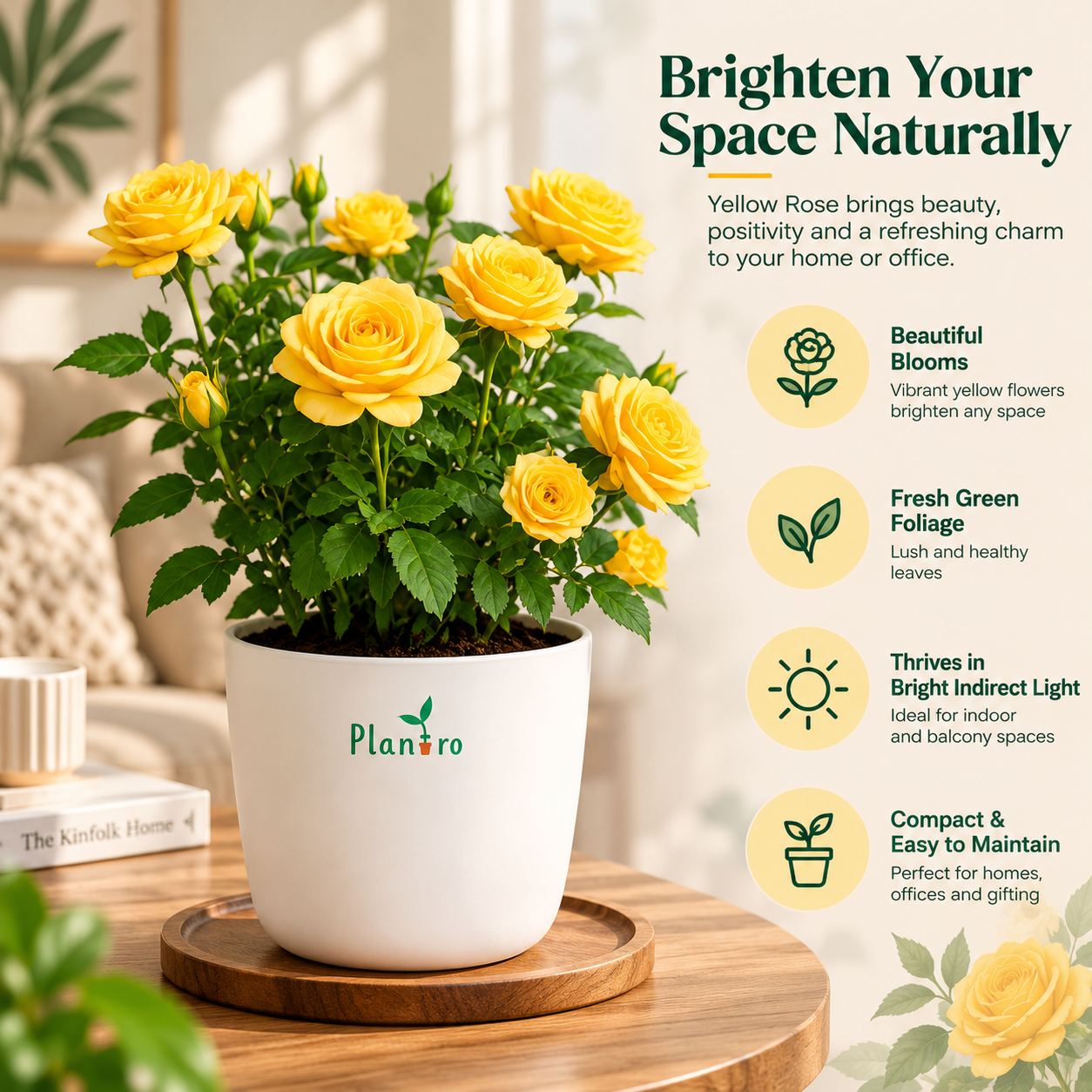 Desi Yellow Rose thumbnail 2