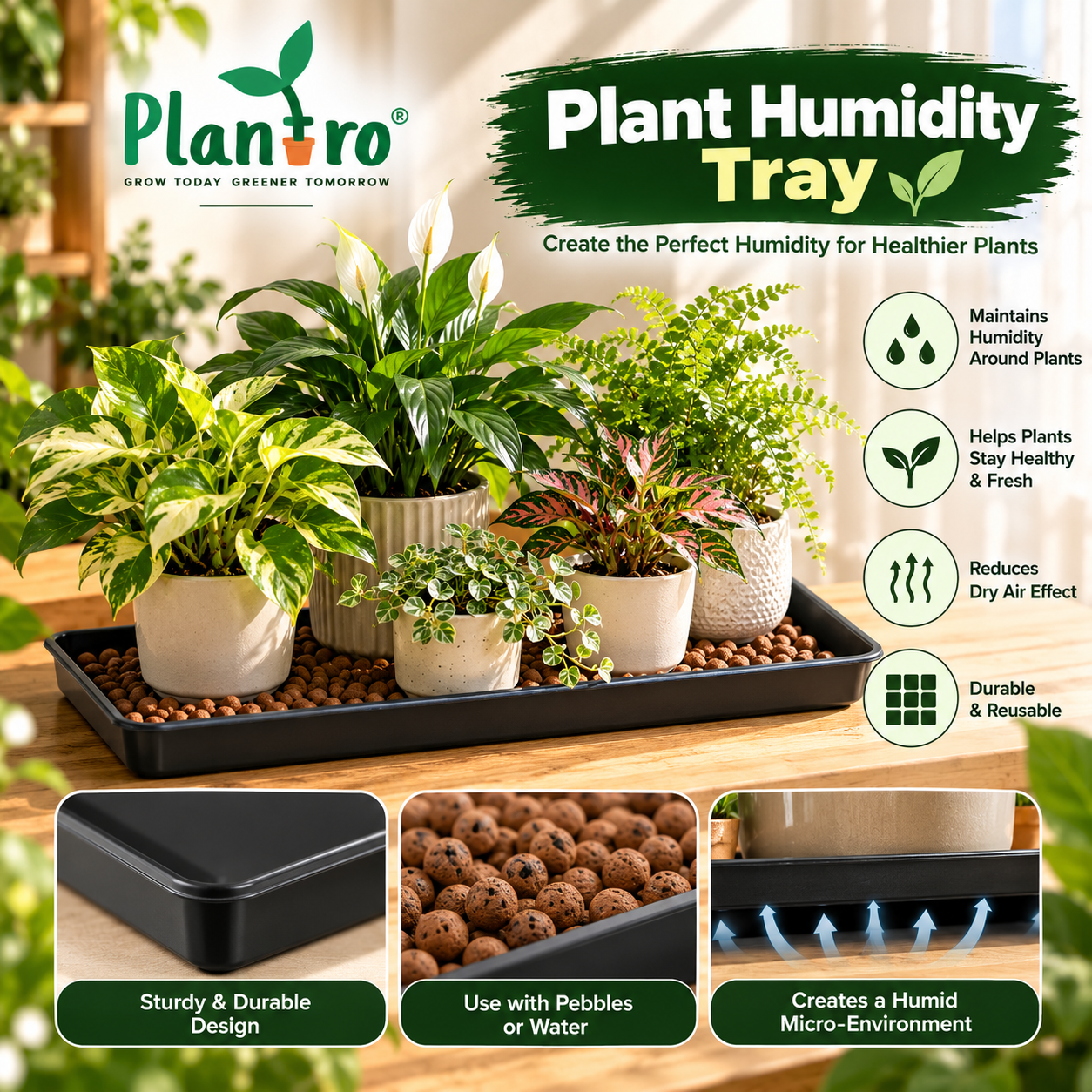Plant Humidity Tray - Image 3
